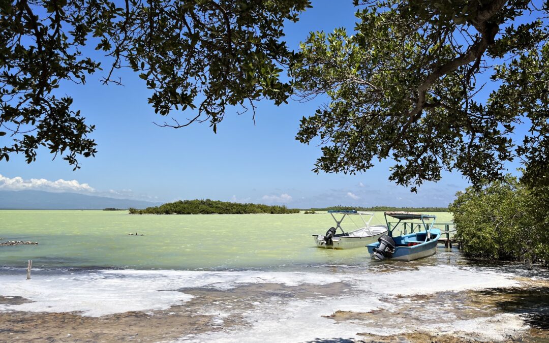 Climate change in the caribbean: understanding the risks to better reduce their impacts