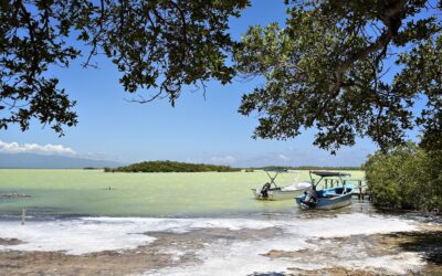 Le changement climatique dans les Caraïbes : comprendre les risques pour mieux en limiter les impacts