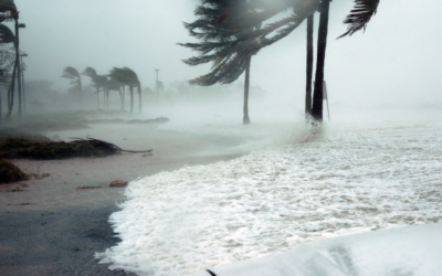 8 manières d’agir 24h avant un ouragan aux Caraïbes