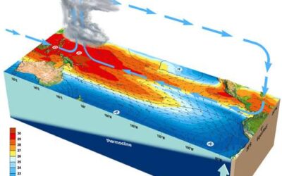 El Niño et La Niña : explications, effets et conséquences pour les Caraïbes